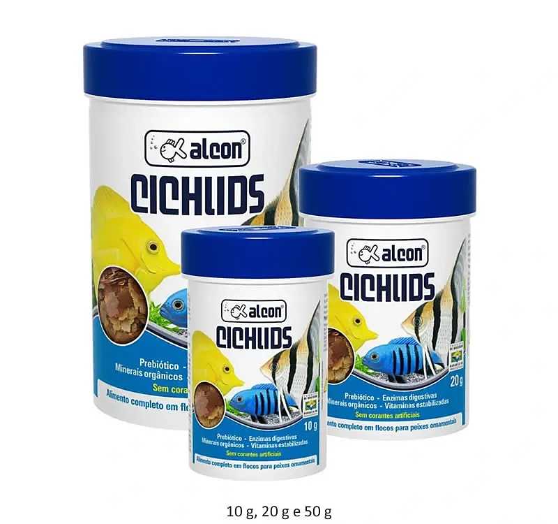 Alcon Cichlids