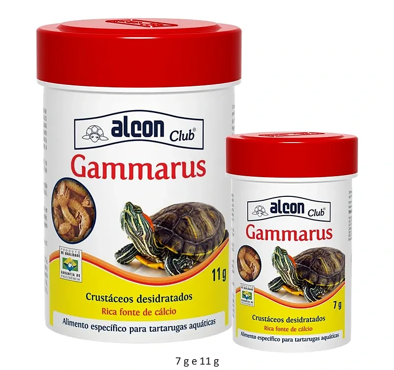 Alcon Club Gammarus