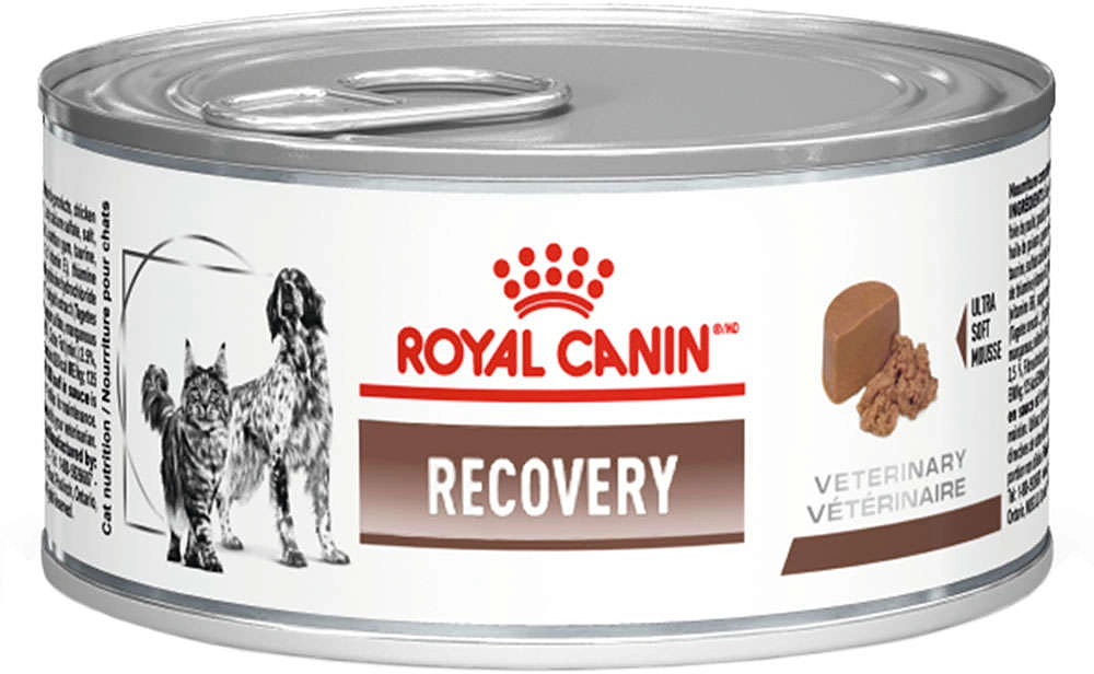 Ração Royal Canin Lata Canine e Feline Veterinary Diet Recovery Wet