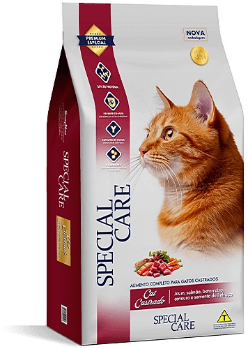 Special Care Cat Castrado