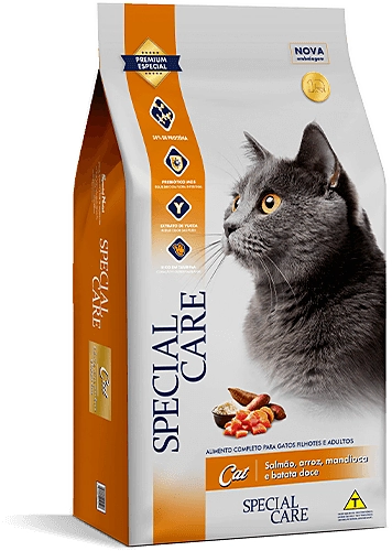 Special Care Cat
