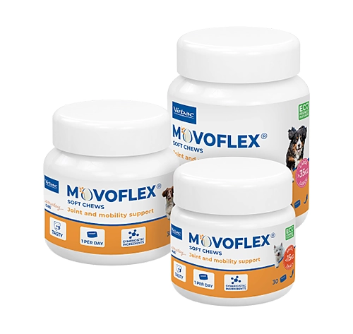 Movoflex®
